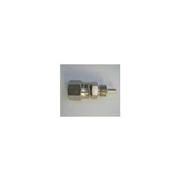 image: Fixed straight female fitting 10x1,25  mm