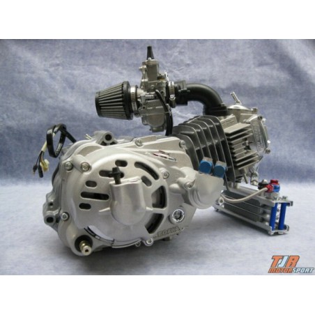 image: TJR Honda Nice engine 154cc dry clutch