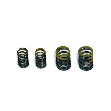 image: Takegawa +R set valve springs
