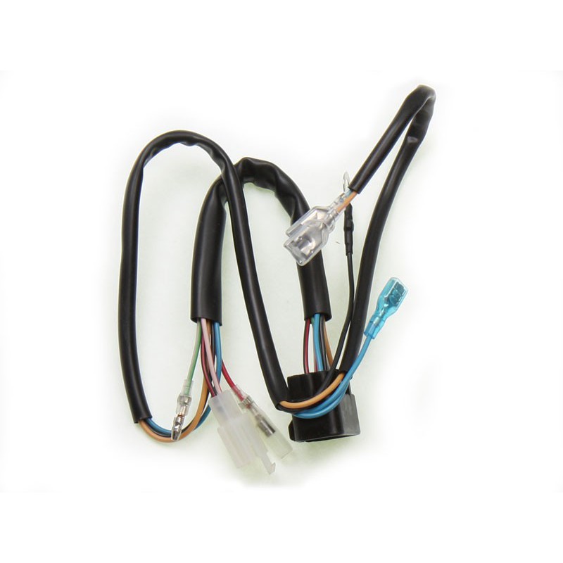 image: Daytona 150 wiring harness