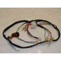 wire-looms/harness